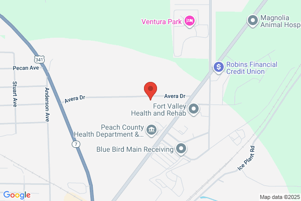 Mercer Medicine Peach County