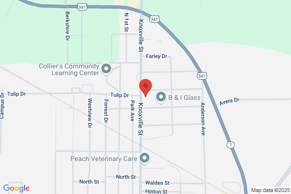Mount Olive CME, Annex