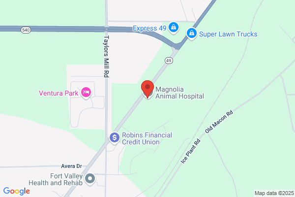 Magnolia Animal Hospital