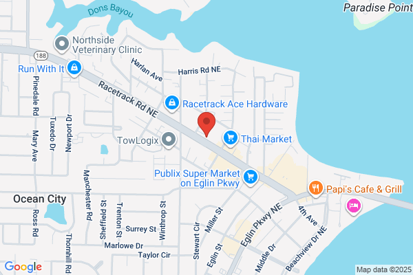 Gulf Medical Services Inc