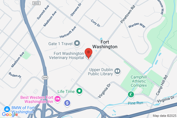Fort Washington Veterinary Hospital