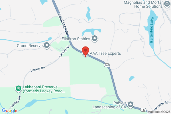 AAA Tree Experts