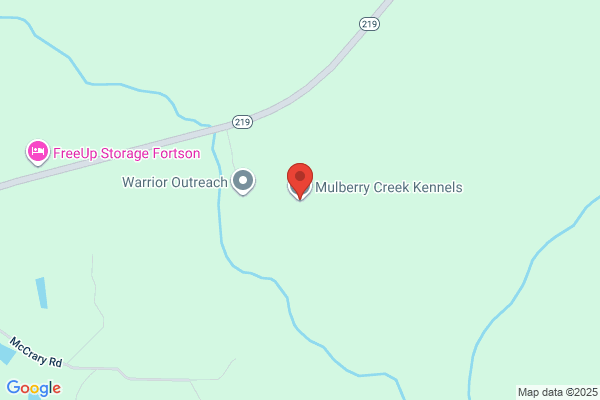 Mulberry Creek Kennels