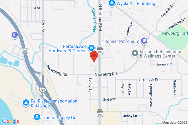 AutoZone Auto Parts