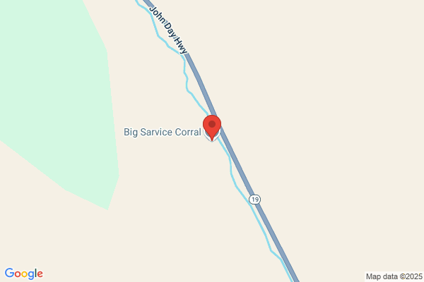 Big Sarvice Corral