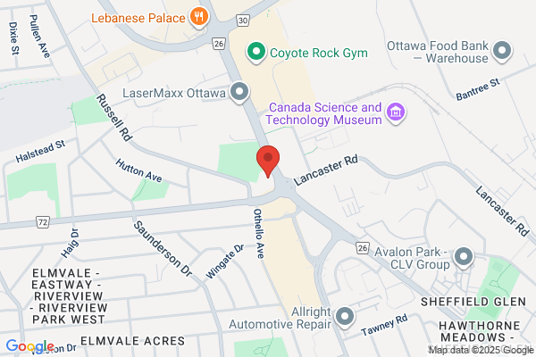 Health Services Network Inc