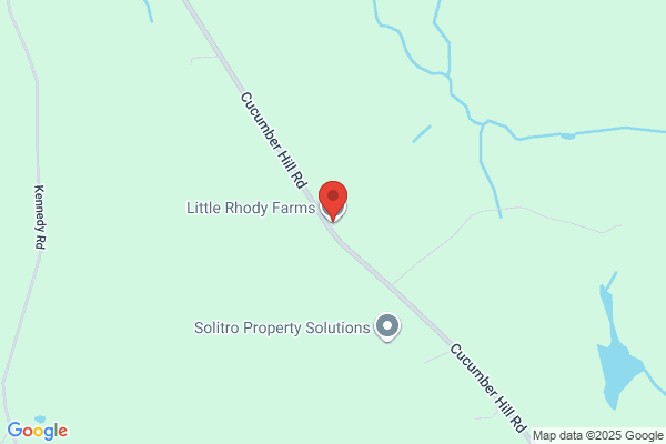 Little Rhody Egg Farms