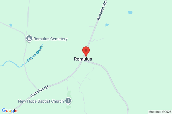 Romulus Volunteer Fire Department