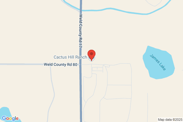 Cactus Creek Ranch