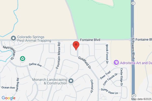 Bug Free Tree & Shrub Spraying