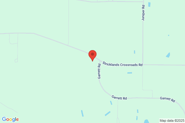 Massengill Stanton Surveyor