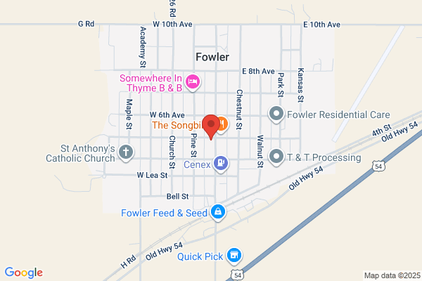 Feldmeyer Seeley T MD
