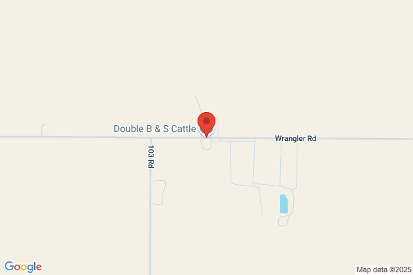 Lang Cattle Co Llc