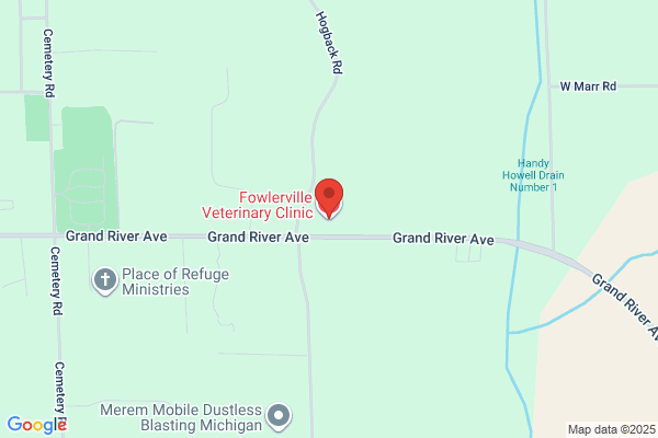 Fowlerville Veterinary Clinic