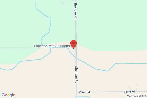 Superior Pest Management