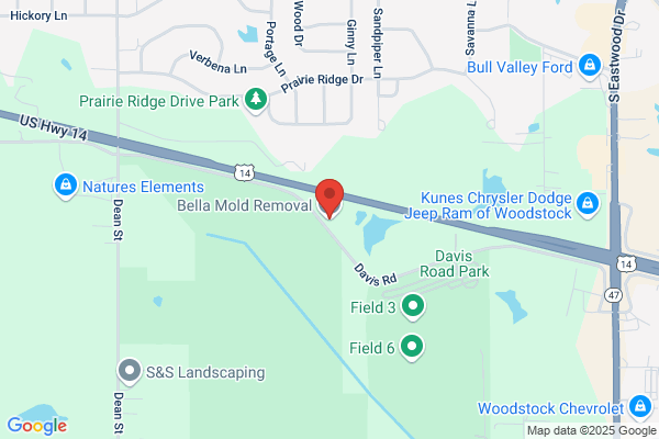 Bella Mold Removal