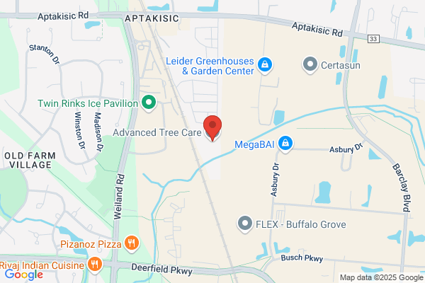 Advanced Tree Care