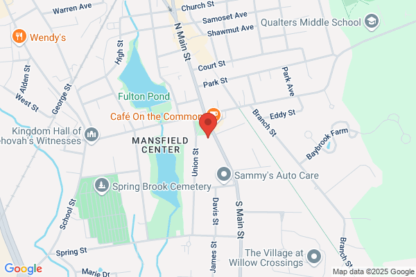 Mansfield Town of, Town Manager