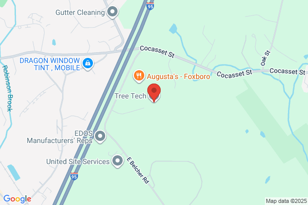 Tree Tech Inc