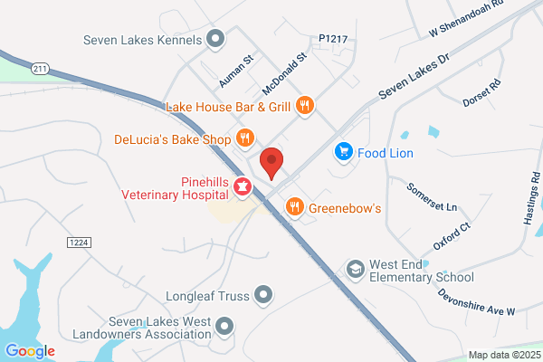 Lee Moore Insurance