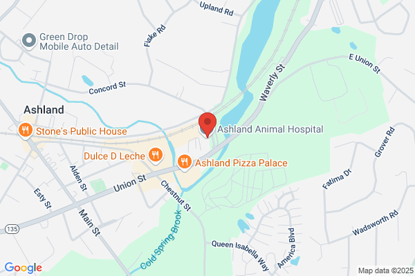 Ashland Animal Hospital