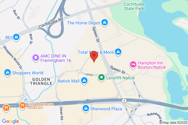 Louis Vuitton Natick