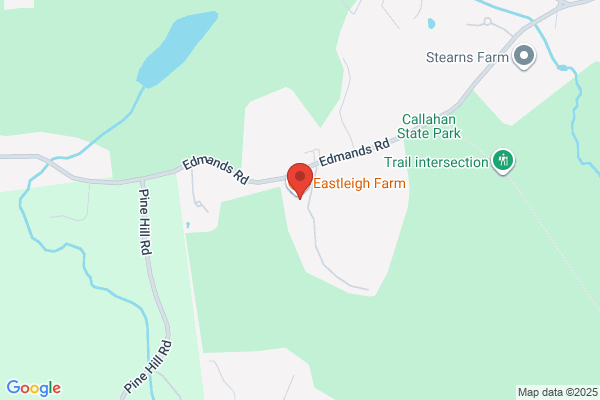 Wallflowers Interiors