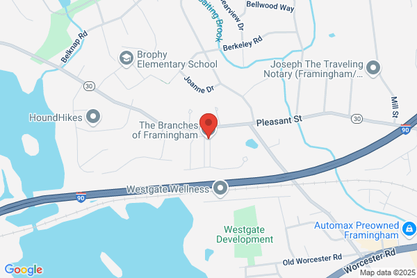 The Branches of Framingham