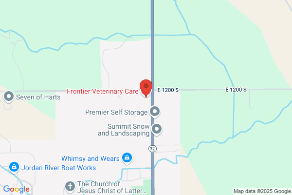 Frontier Veterinary Care