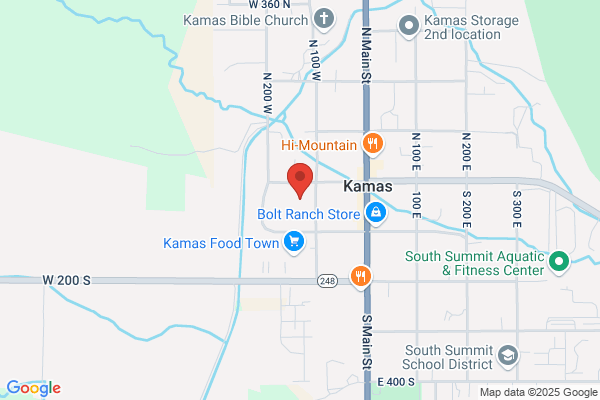 Church of Jesus Christ of Latter Day Saints, Name Extraction Program