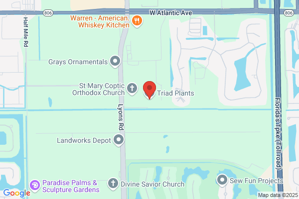 Triad Warsh Plant