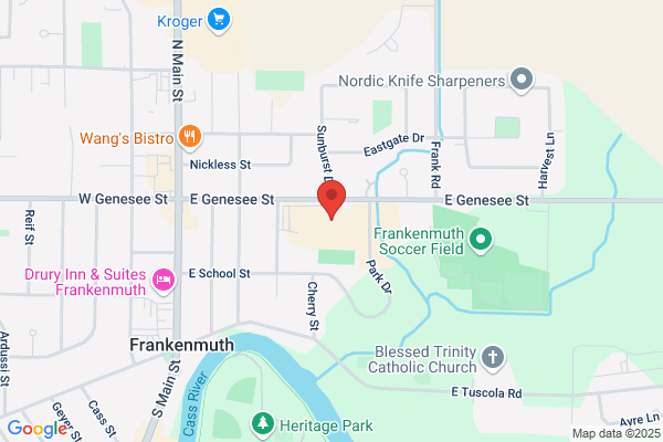 Frankenmuth School District, High School