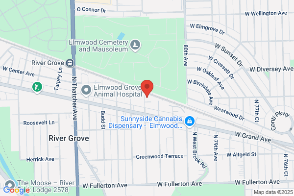 All Suburban Automotive Center