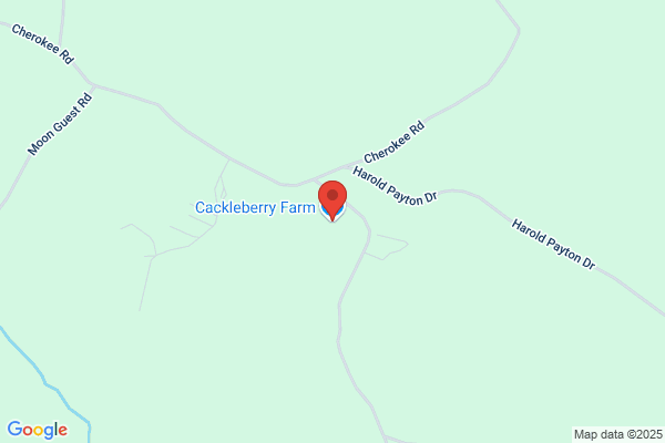 Cackleberry Farm