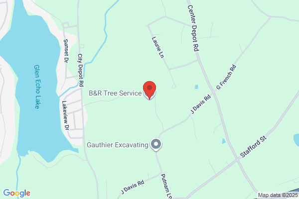 B & R Tree Service