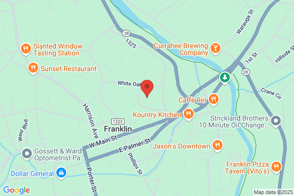 Mission Neurology - Franklin