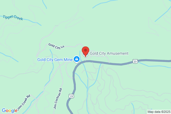 Gold City Amusement
