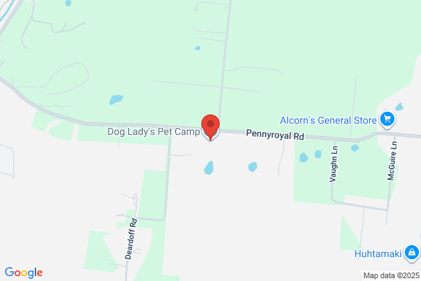 Dog Lady's Pet Camp