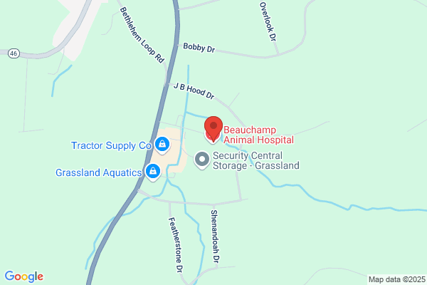 Beauchamp Animal Hospital: Bush Adam DVM
