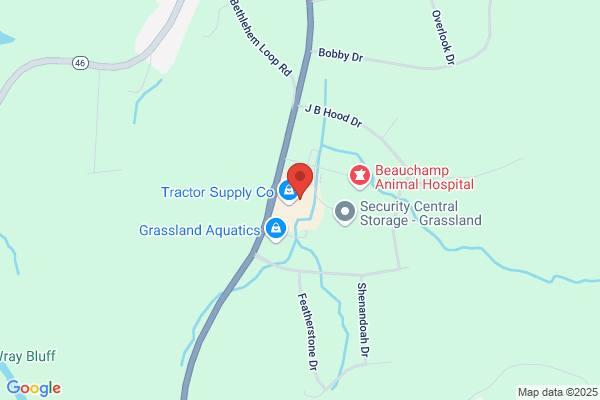 S.T.A.R Physical Therapy