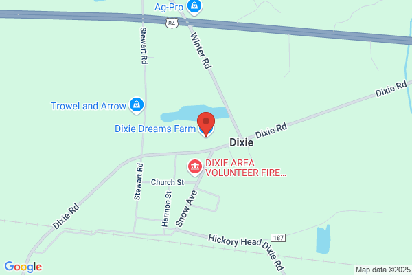 Dixie Plant Farms