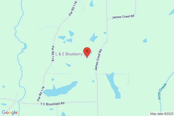 3D Blueberry Farm