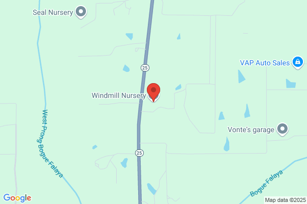 Windmill Nursery of Louisiana