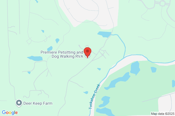 Premier Pet Sitting