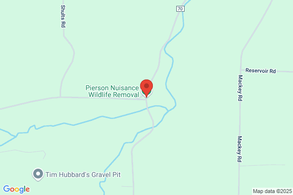 New Sense Wildlife Management