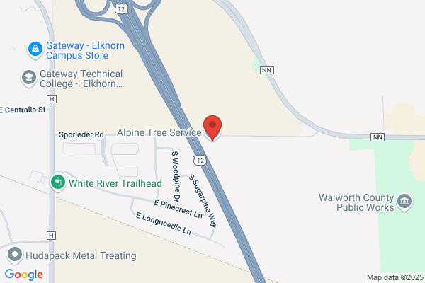 Alpine Tree Care Llc
