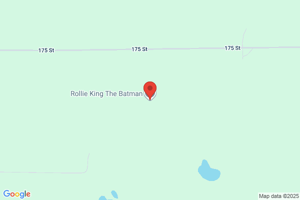 Rollie King The Batman