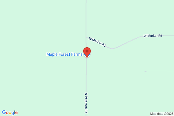 Maple Forest Small Engine Repair