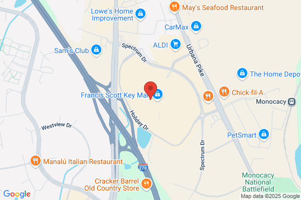 Hollister Co.