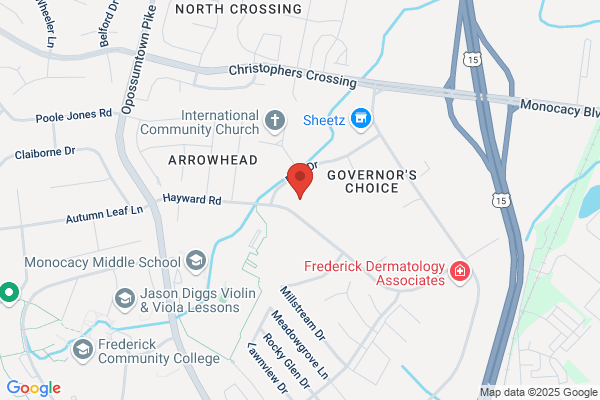 Longmeadow Optical